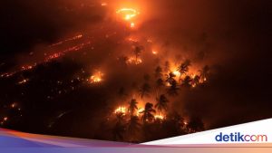 Triliunan Rupiah Menguap Gara-gara Karhutla
