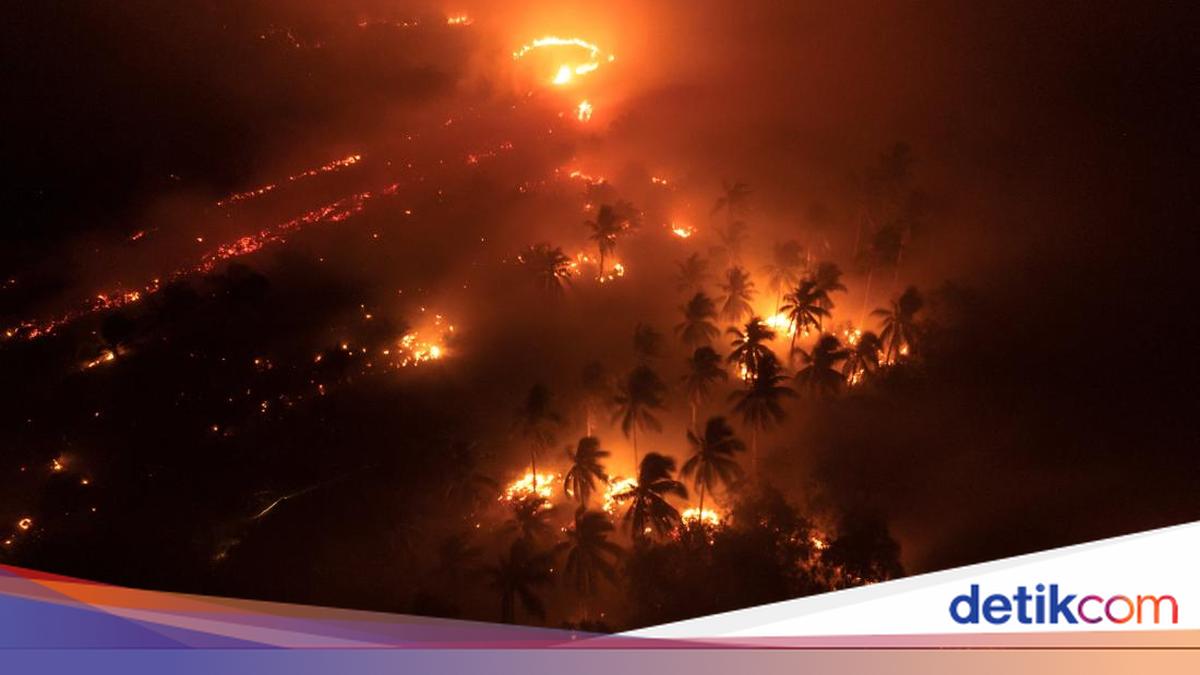 Triliunan Rupiah Menguap Gara-gara Karhutla
