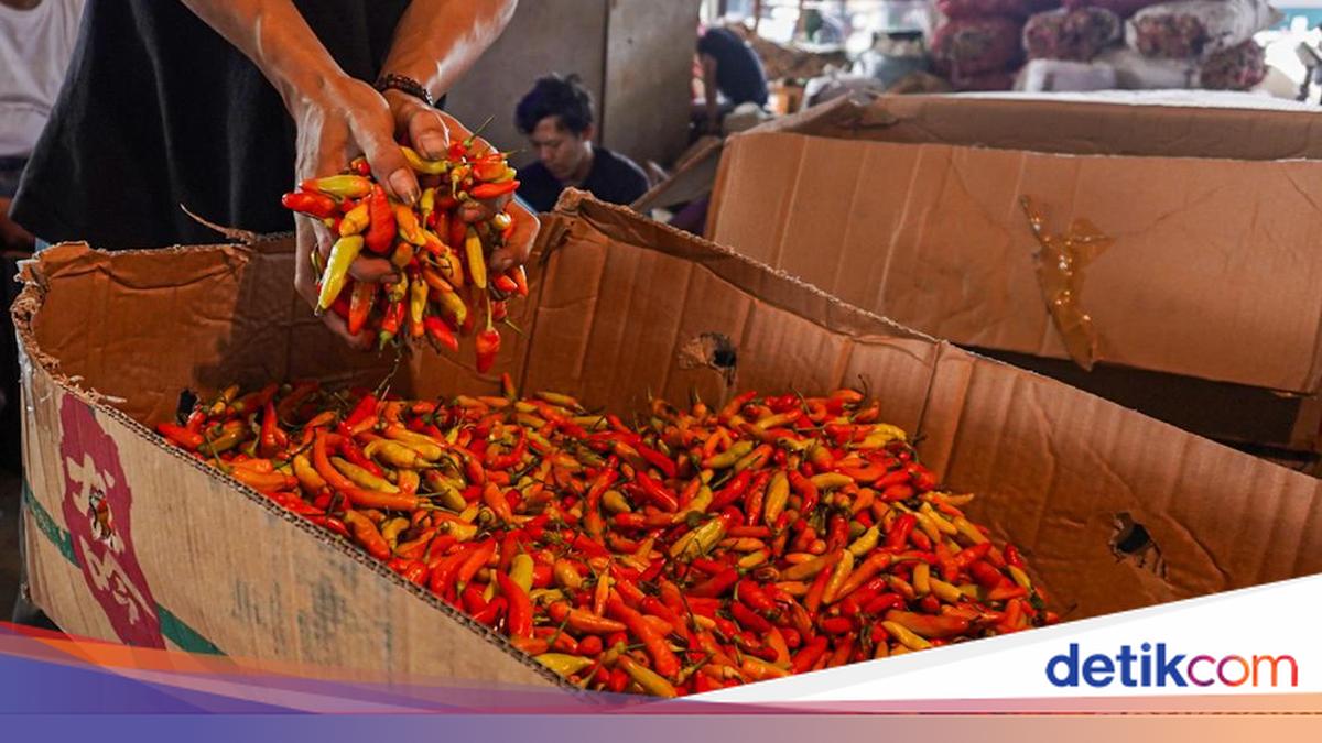 Cabai Rawit-Daging Ayam Jadi Biang Kerok Inflasi RI